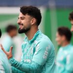 palmeiras