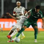 palmeiras