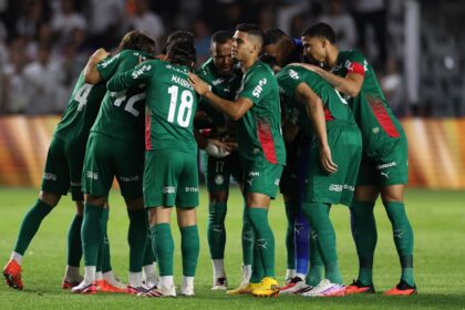 palmeiras