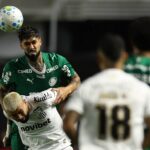 Palmeiras