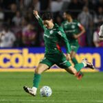 Palmeiras