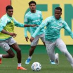 palmeiras