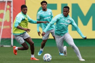 palmeiras