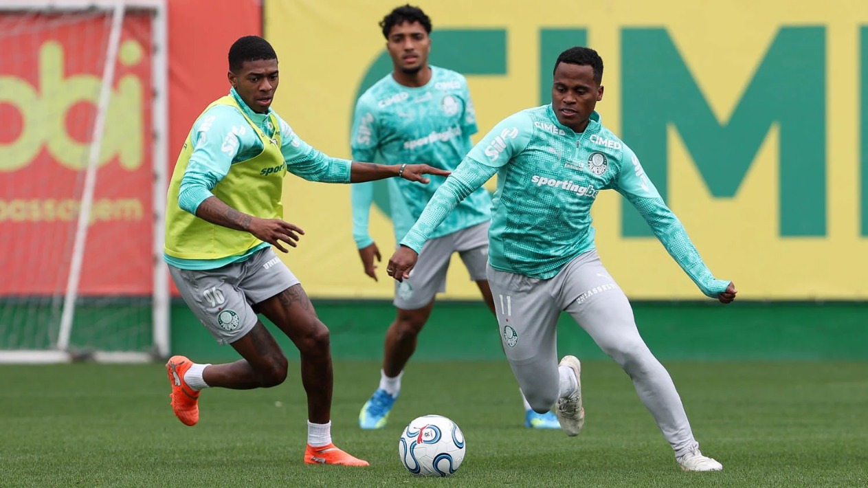palmeiras