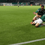 Palmeiras