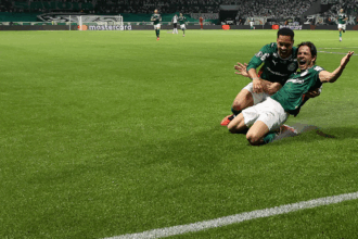 Palmeiras