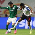 palmeiras