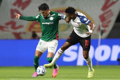 palmeiras