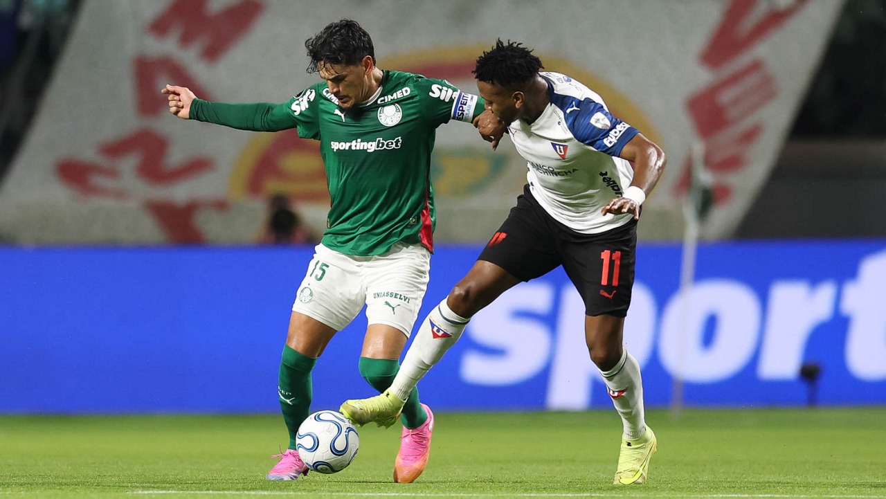 palmeiras