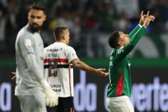 palmeiras