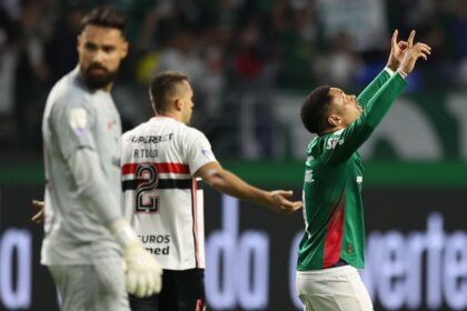 palmeiras