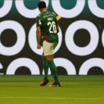 Palmeiras