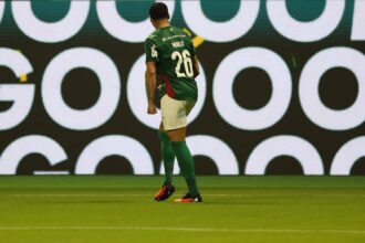 Palmeiras