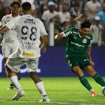 santos x palmeiras