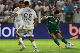 santos x palmeiras