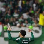 Palmeiras