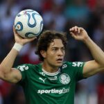 palmeiras