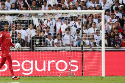 Palmeiras