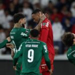 palmeiras