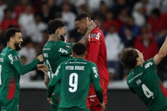 palmeiras