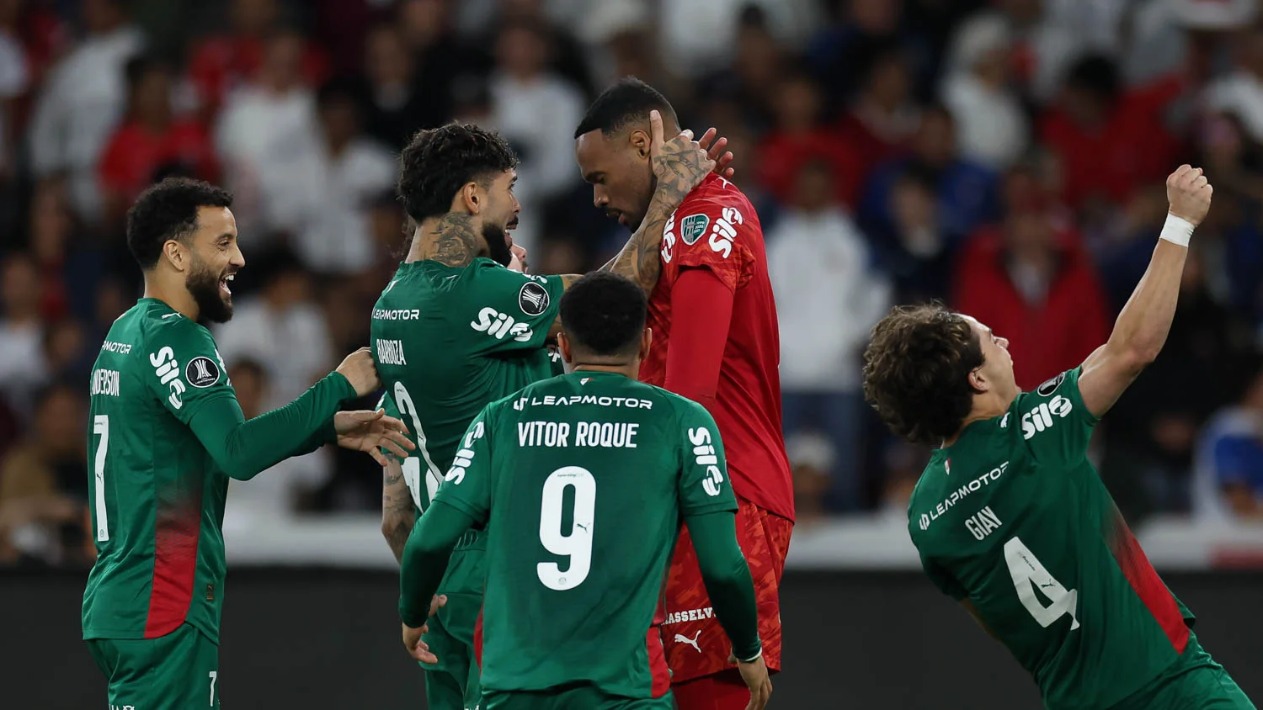 palmeiras