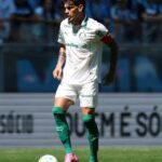 Palmeiras cesar greco