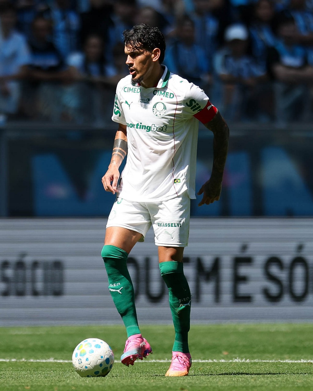 Palmeiras cesar greco