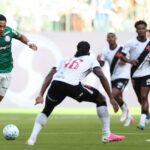 Palmeiras