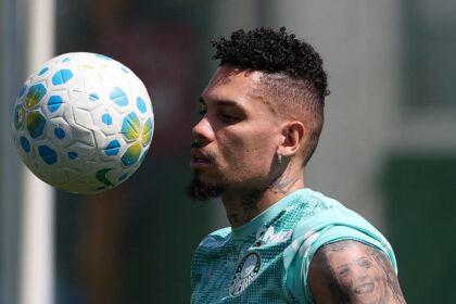 Palmeiras