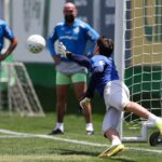 Palmeiras