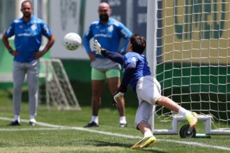 Palmeiras