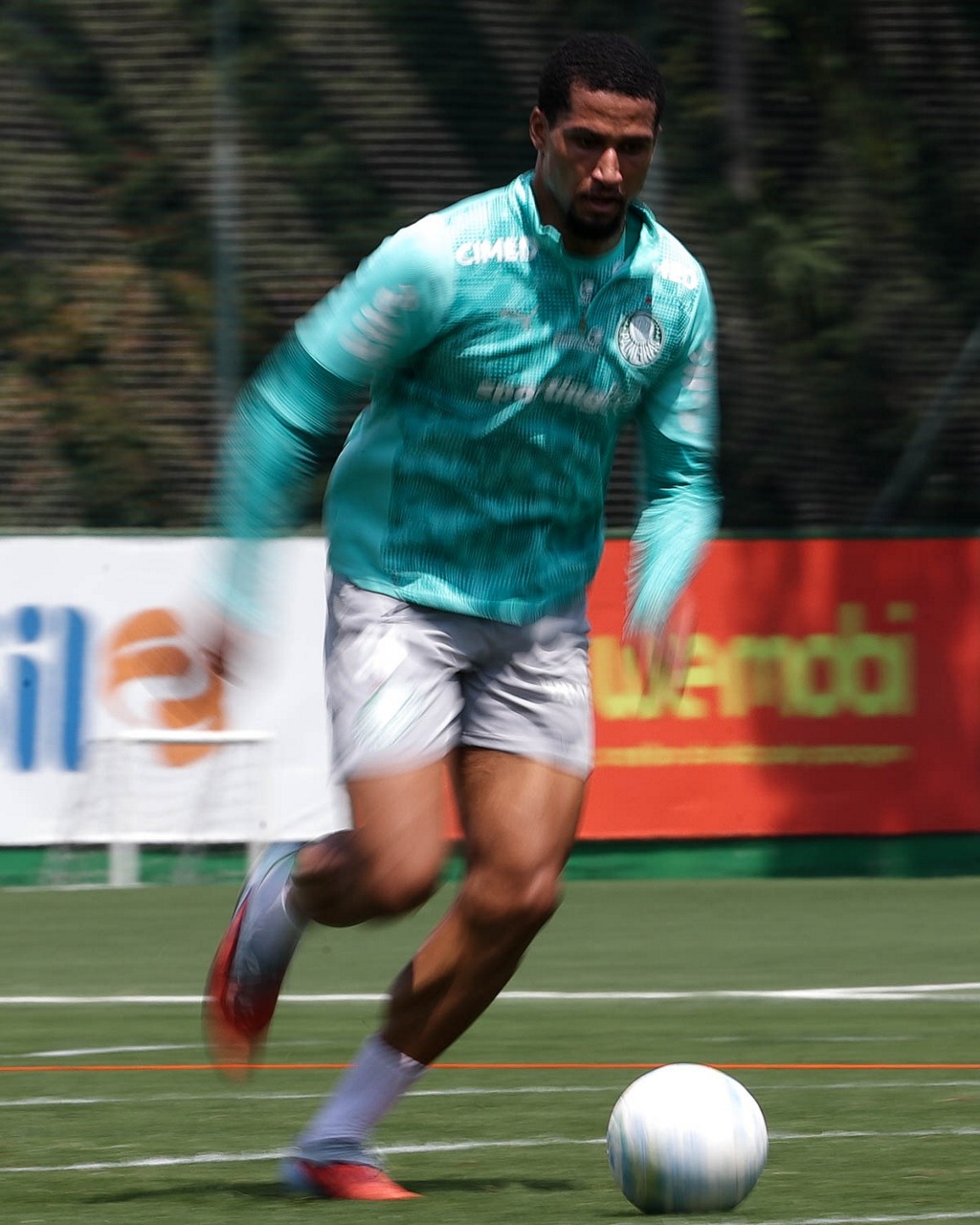 murilo palmeiras