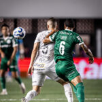 santos x palmeiras