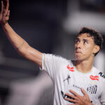 santos gabriel bontempo