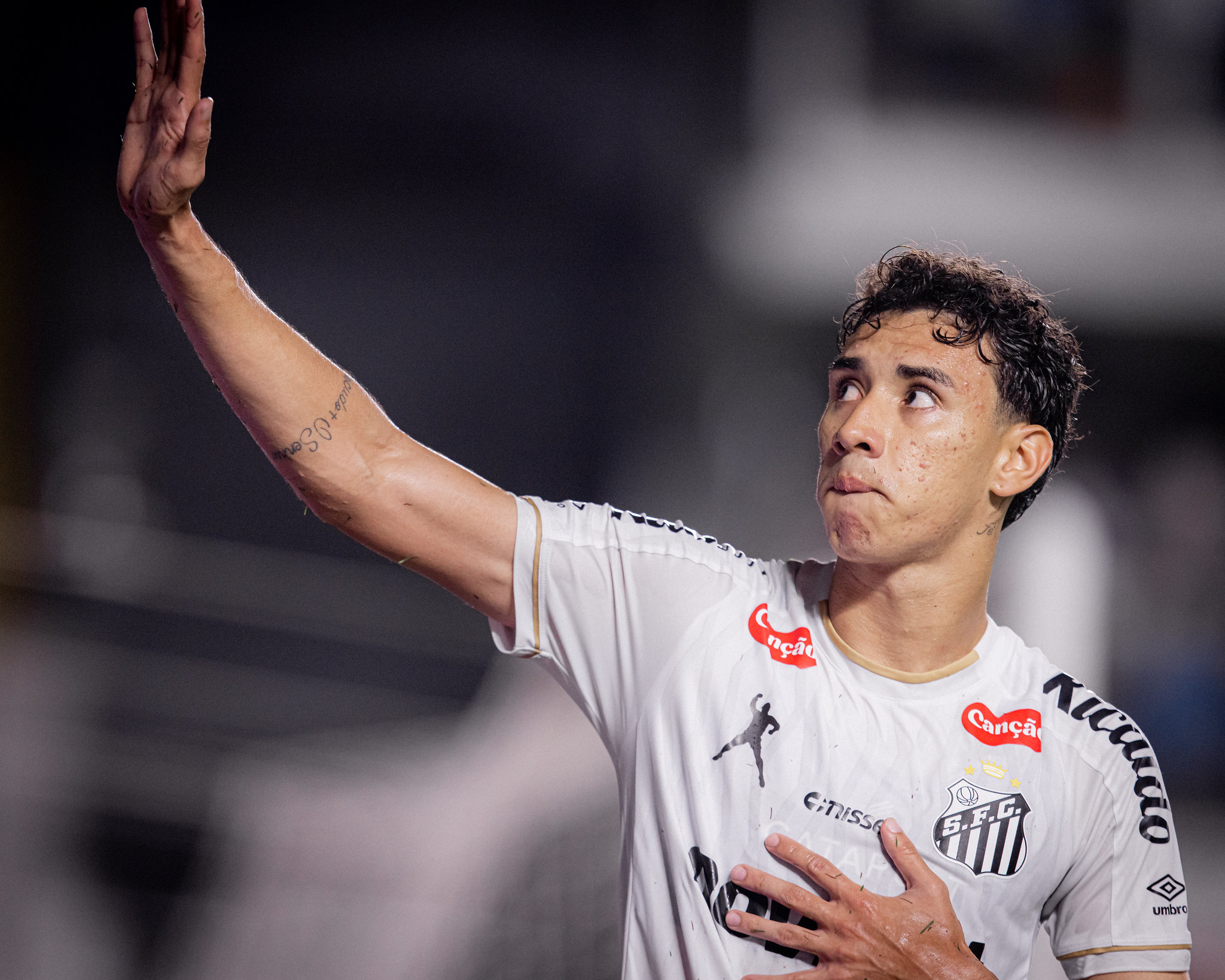 santos gabriel bontempo