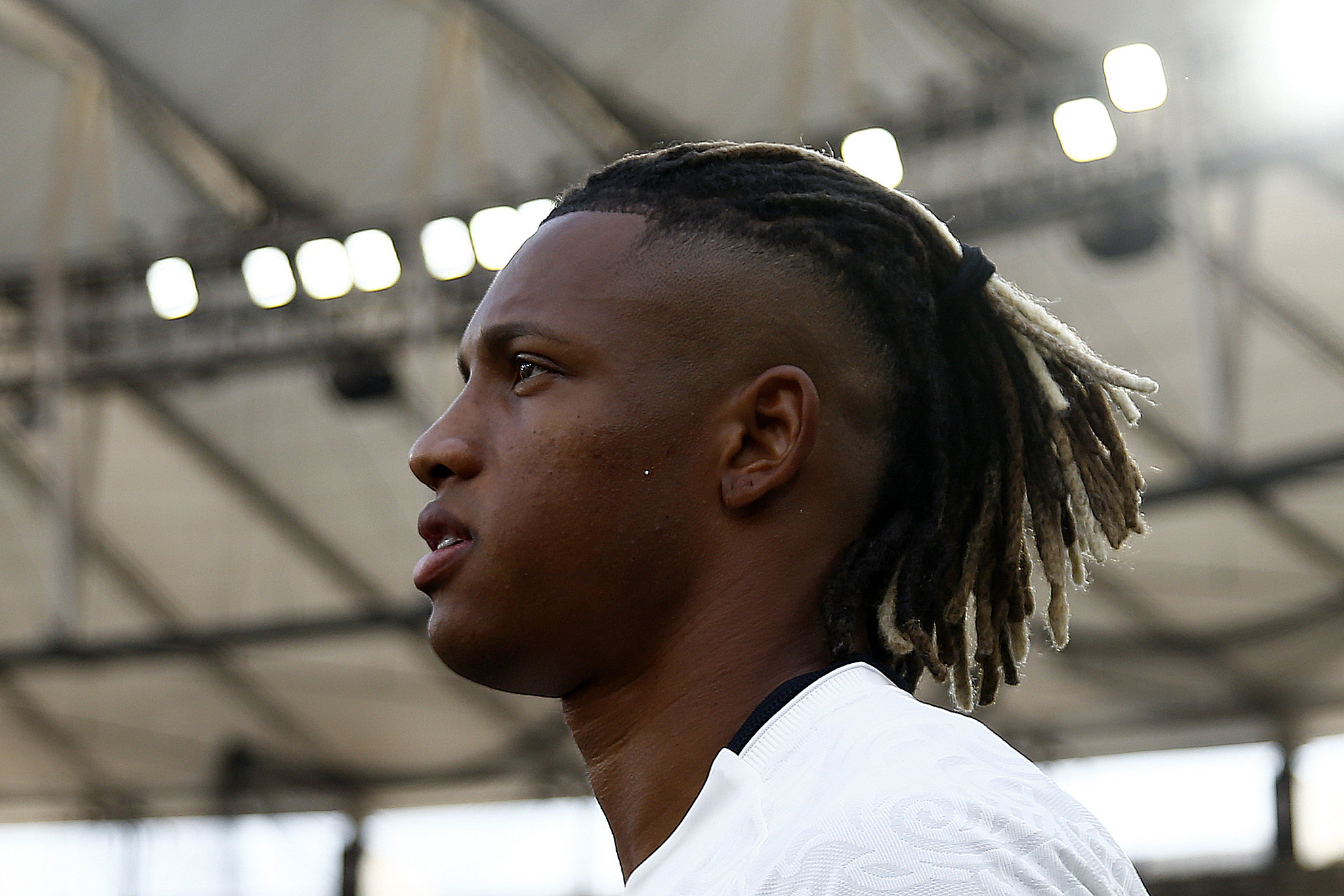 botafogo danilo palmeiras