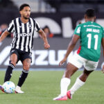 botafogo palmeiras