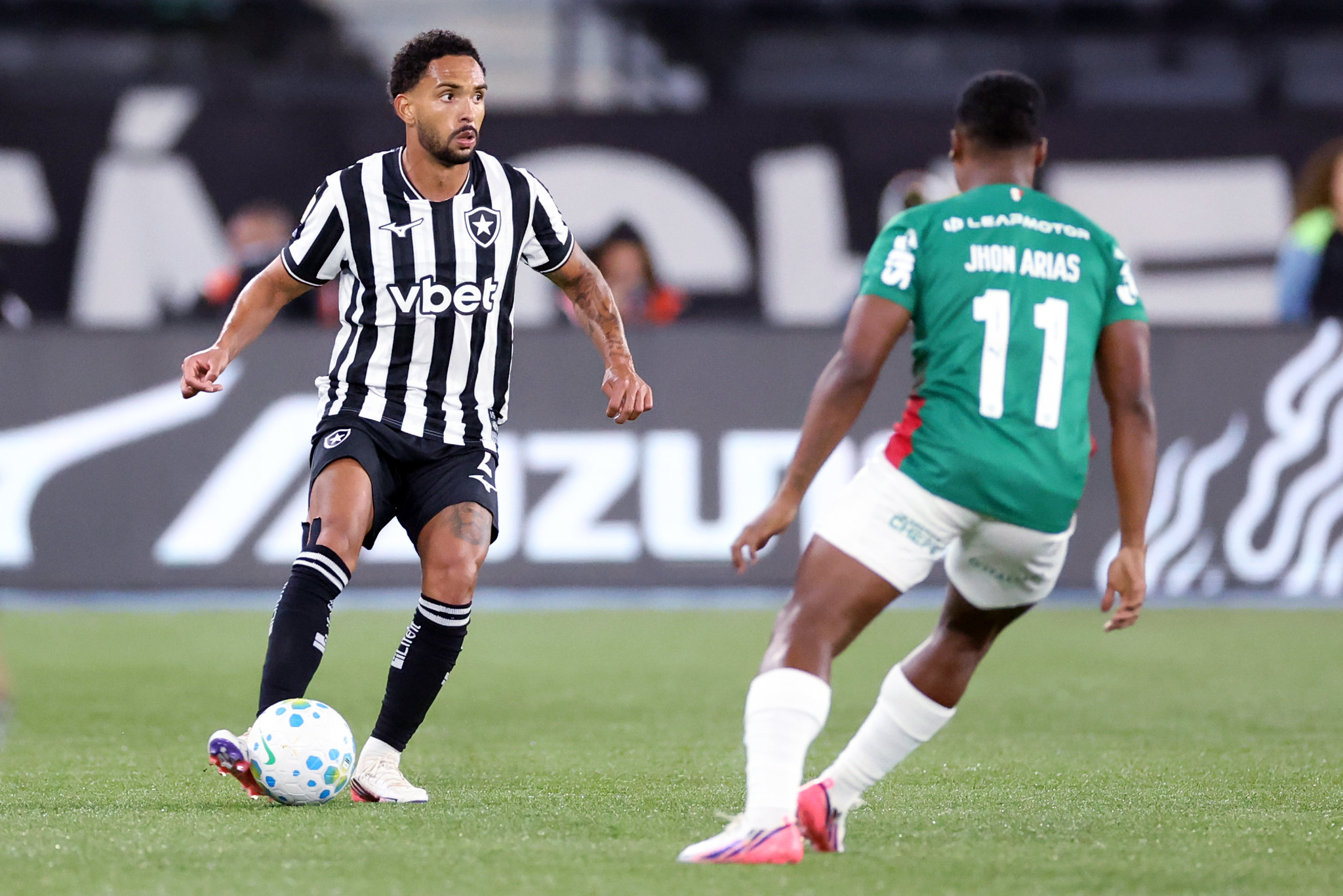 botafogo palmeiras