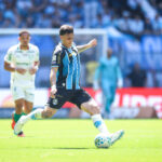 Palmeiras gremio