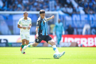 Palmeiras gremio