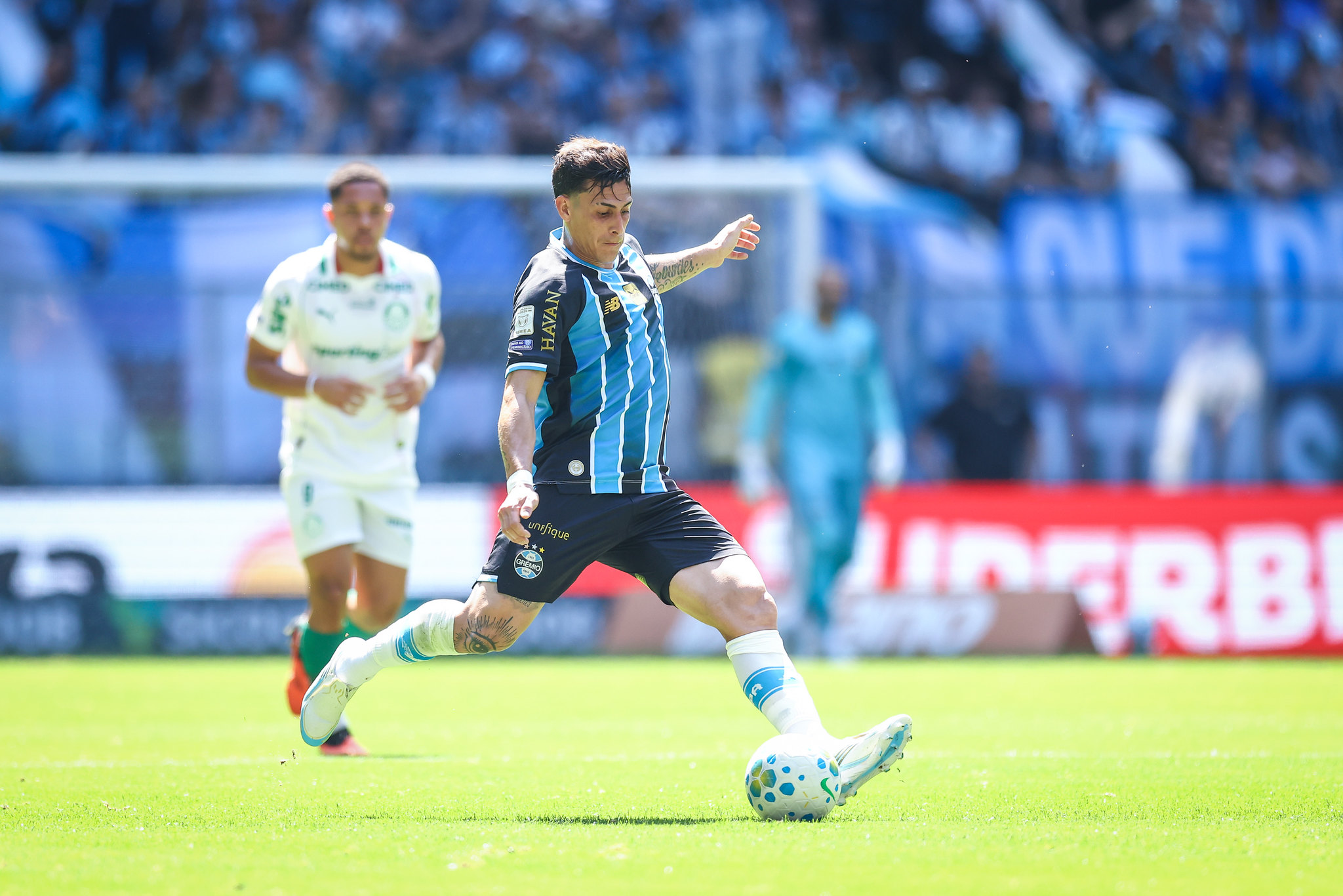 Palmeiras gremio