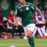 Palmeiras