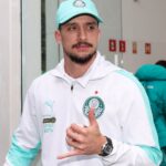 Palmeiras piquerez