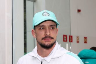 Palmeiras piquerez