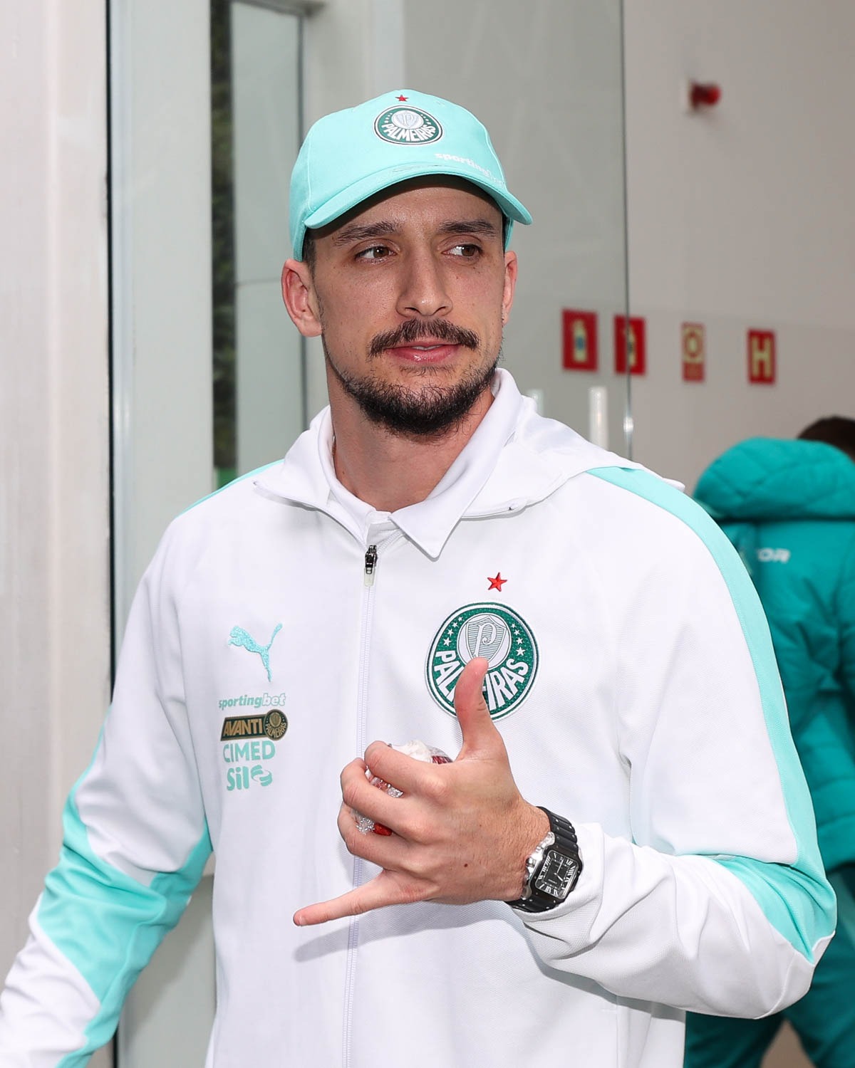 Palmeiras piquerez