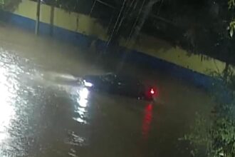 Ação rápida das forças de apoio minimiza impactos de forte chuva em São Caetano
