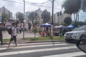 Pets Day ABC movimenta São Bernardo com cãominhada, feira de adoção e solidariedade