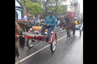 Devoção que supera o clima: tradicional Procissão dos Carroceiros reúne fiéis sob chuva em São Bernardo