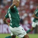 Palmeiras