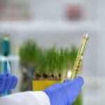 Braskem reforça estratégia global em renováveis com desenvolvimento de tecnologia para bioacetona